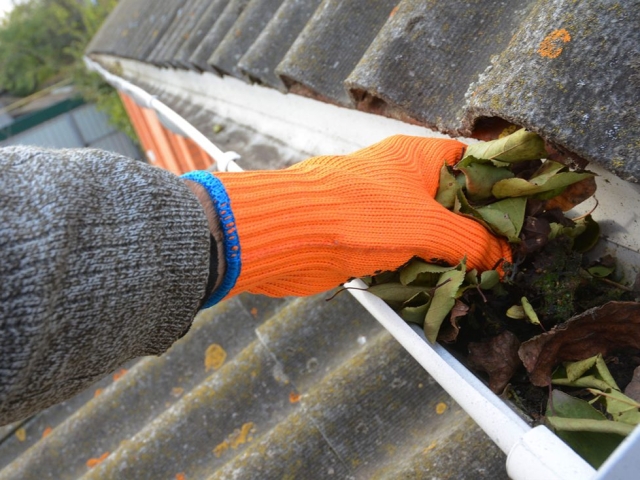 Gutter Clearing and Cleaning